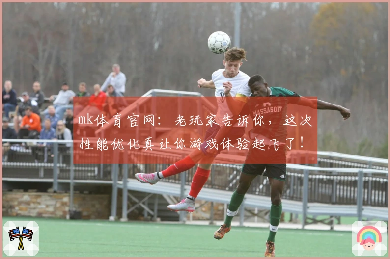 mk体育官网：老玩家告诉你，这次性能优化真让你游戏体验起飞了！