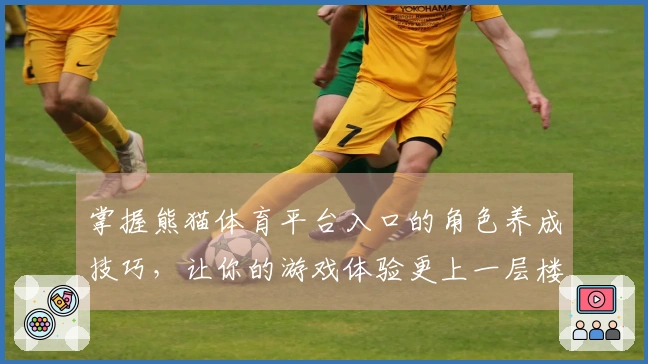 掌握熊猫体育平台入口的角色养成技巧，让你的游戏体验更上一层楼！