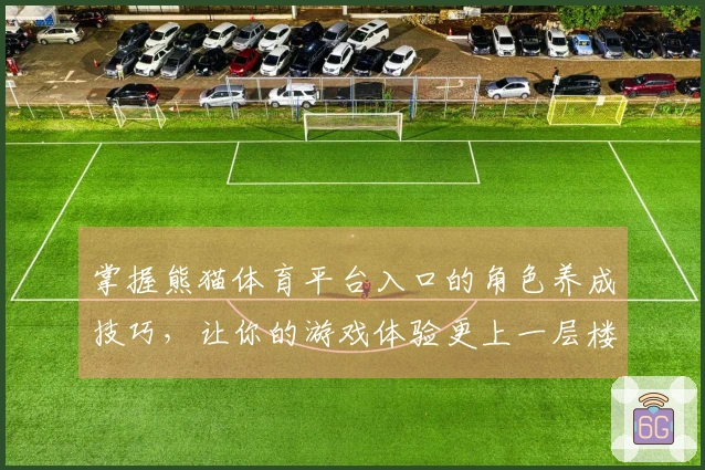 掌握熊猫体育平台入口的角色养成技巧，让你的游戏体验更上一层楼！