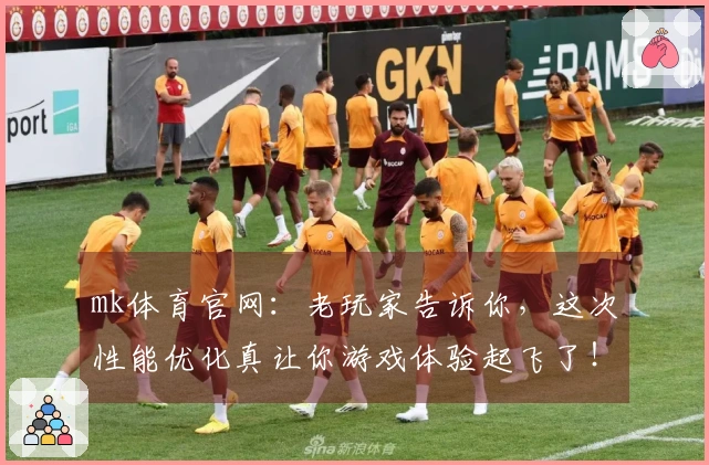 mk体育官网：老玩家告诉你，这次性能优化真让你游戏体验起飞了！